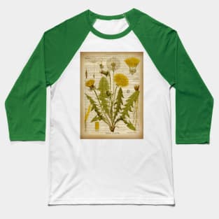 Botanical print, on old book page - Dandelion Baseball T-Shirt